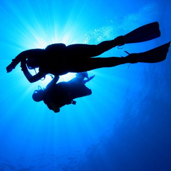 Refresh Dive