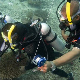 Search and Recovery Diver