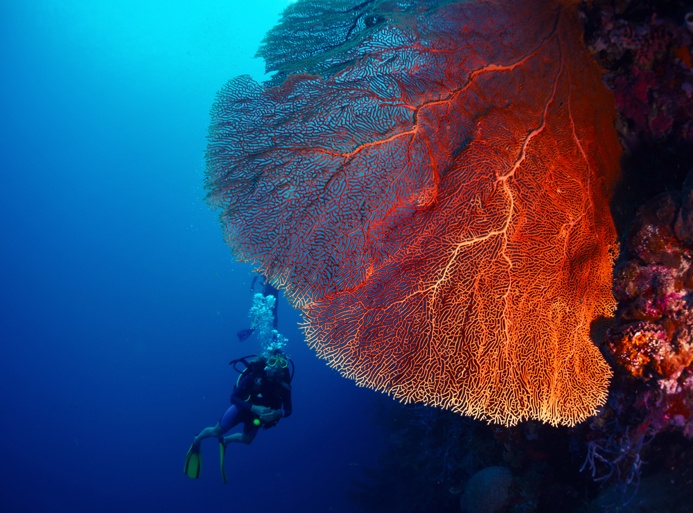 Buoyancy