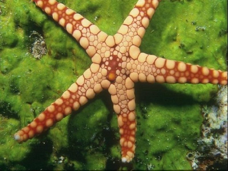 Karga Island (10)