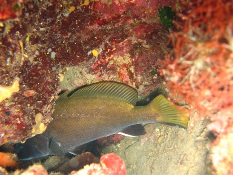 Karga Island (4)